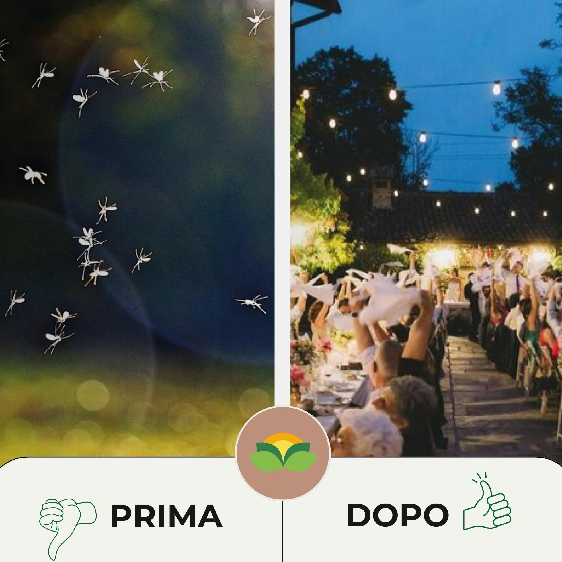 Albagarden Insetticida Antizanzare Giardino Cipermetrina Concentrato 1 Litro Protezione 4 Settimane