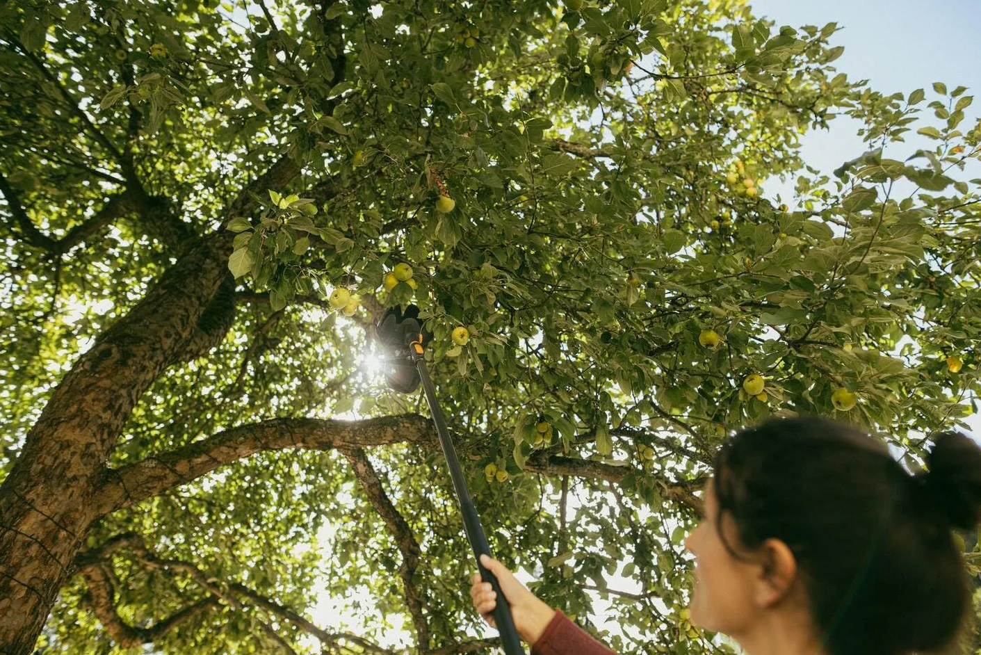 Fiskars OneClick Telescopic Manico M 119-179 cm Alluminio Nero Arancione