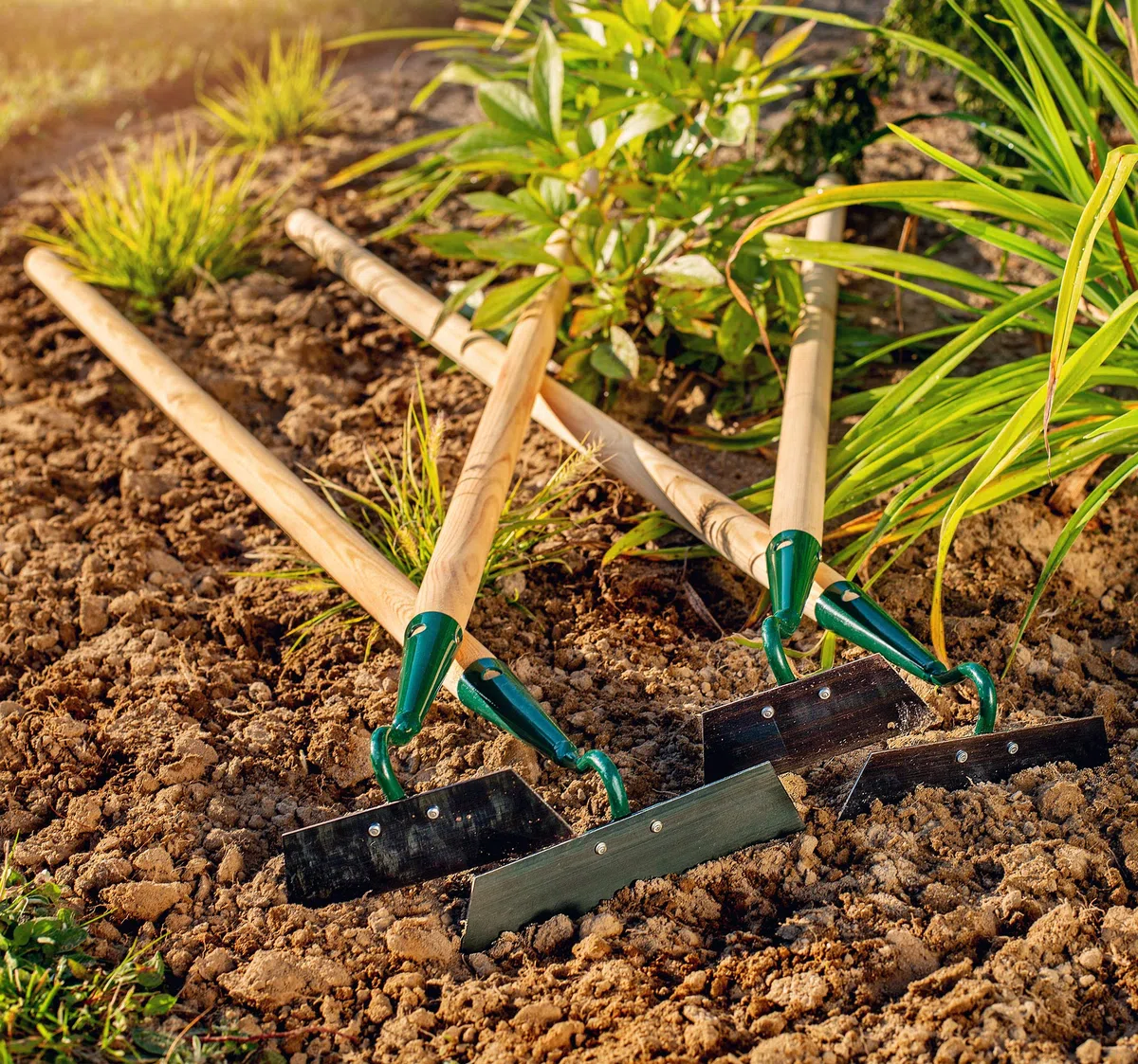 KADAX Zappa, Zappa da Giardino allentamento, Ventilazione e diserbo pavimentogiardino, Metallo, Accessori da Giardino, Rimuovere Le Erbe infestanti(Larghezza di Lavoro: 18 cm, con Manico in Legno)