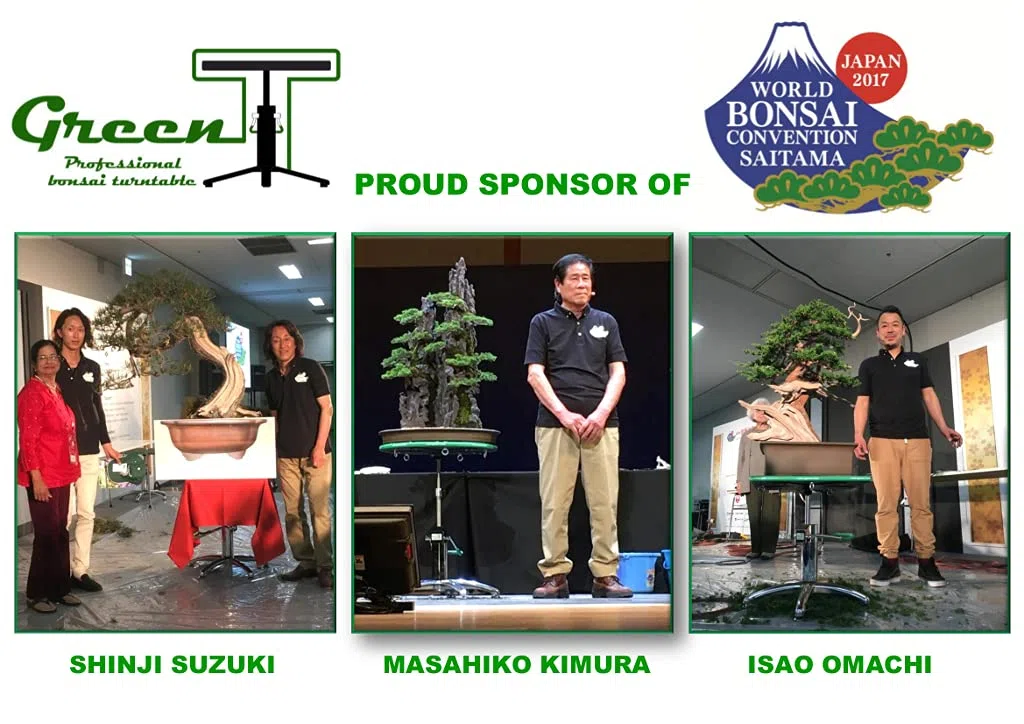 Tavolo professionale da lavoro con ventosa per Bonsai Shohin Green-T