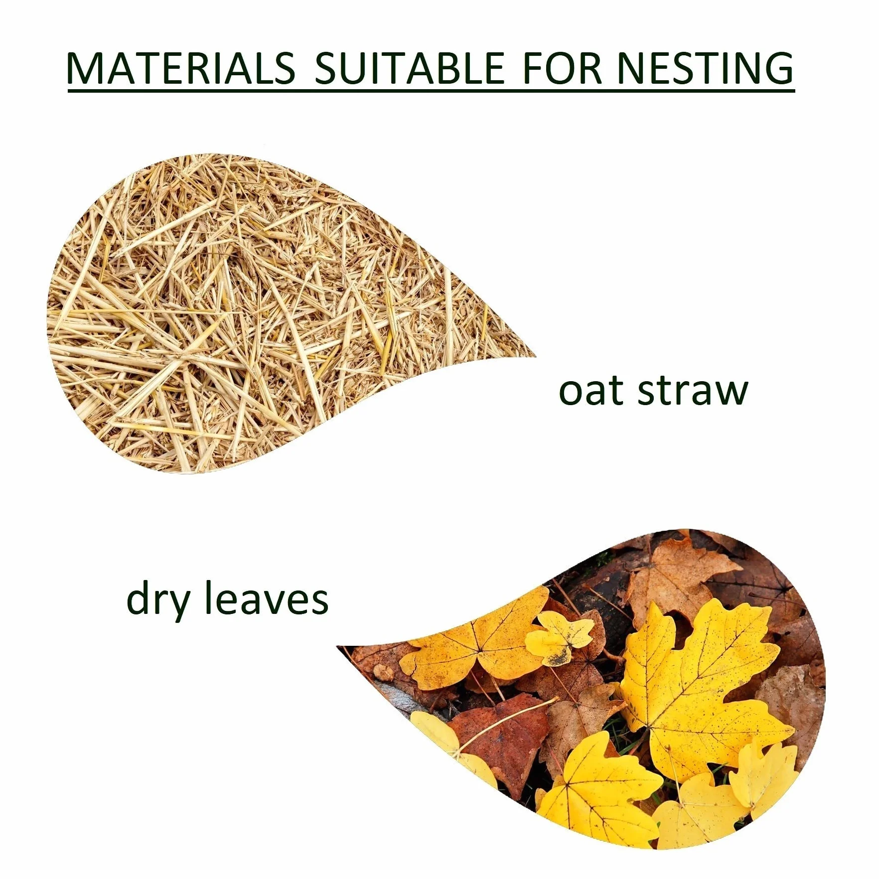 LEVIATAN - Casa per ricci | con pavimento in legno I Casa per tutto l'anno | Resistente alle intemperie | Perfetto per il giardino | Quartier invernale