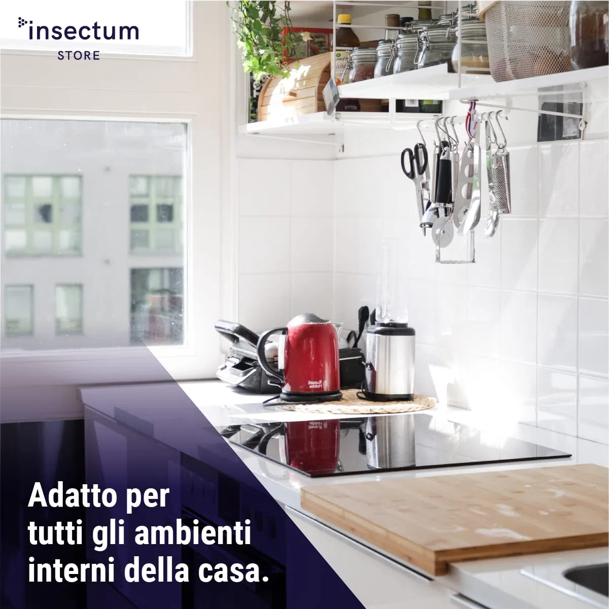 Spray blatte disinfestazione casa 2x500 ml - Coppia spray Anti scarafaggi e anti blatte a effetto abbattente - 2 bottiglie - Insetticida multinsetto antiscarafaggio e blatta