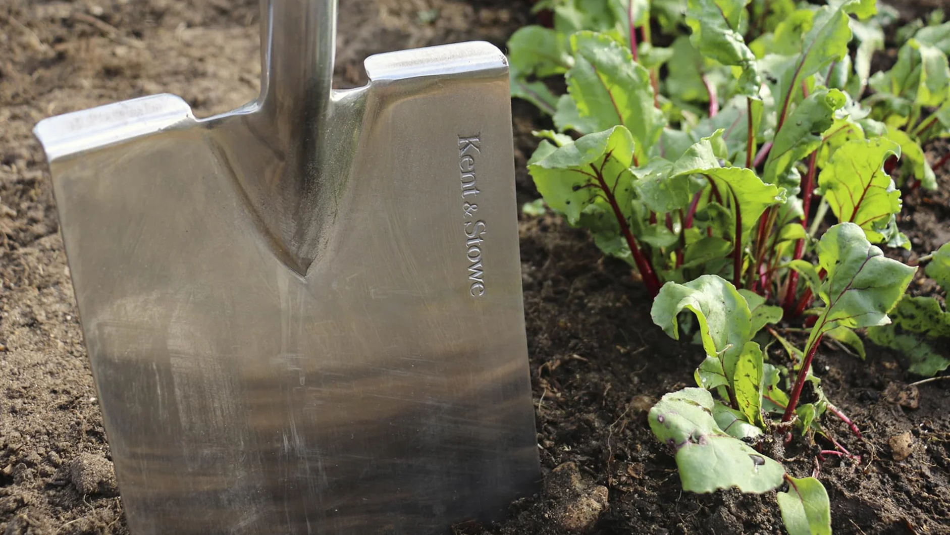 Kent & Stowe Vanga da Giardino Professionale - Acciaio Inossidabile Con Manico in Legno di Frassino, Lunghezza: 110 cm