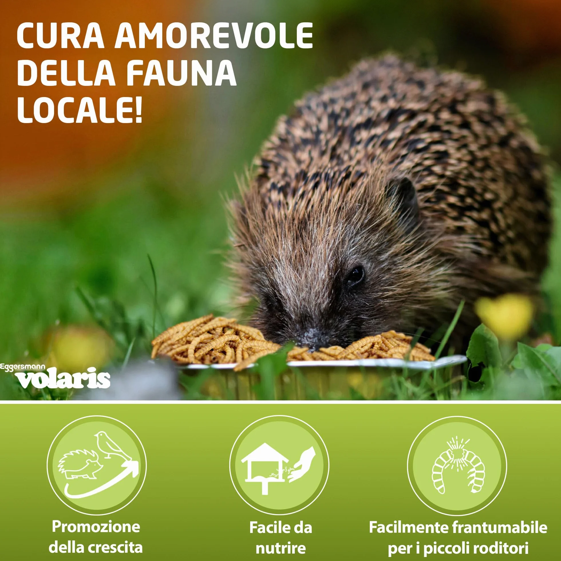 Eggersmann Volaris Vermi della Farina Essiccati 5kg – Mangime per Uccelli Selvatici Ricco di Proteine